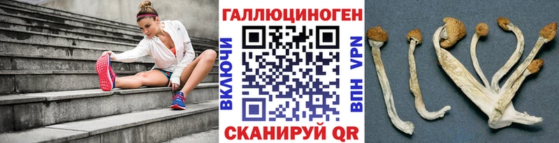 Галлюциногенные грибы мухоморы  наркошоп  Устюжна 